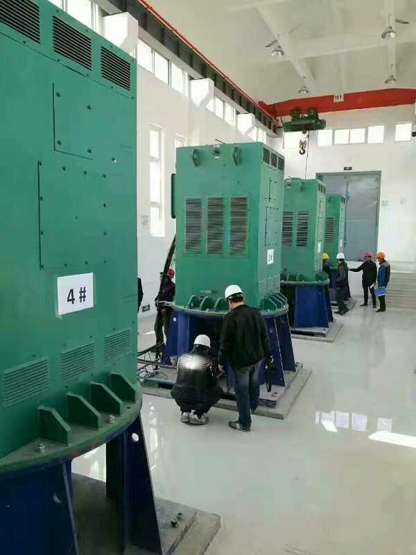祥云某污水处理厂使用我厂的立式高压电机安装现场