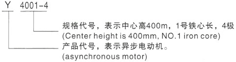 西安泰富西玛Y系列(H355-1000)高压祥云三相异步电机型号说明